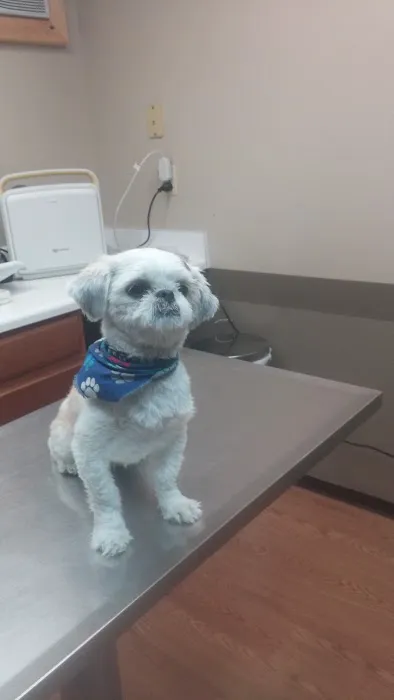 Justus Veterinary Clinic 12