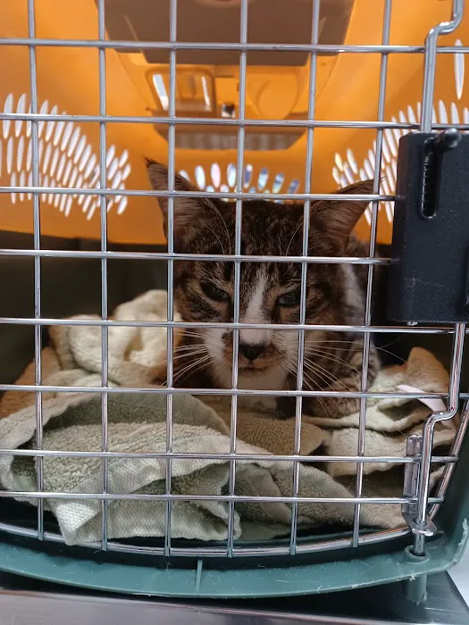 Justus Veterinary Clinic 12