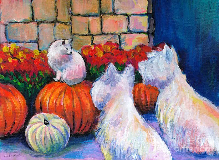 Abington Veterinary Center 5