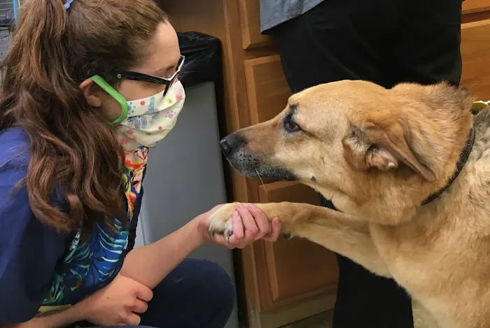 Abington Veterinary Center 7