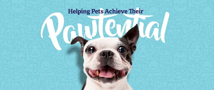 Vethouse Pet Care 12