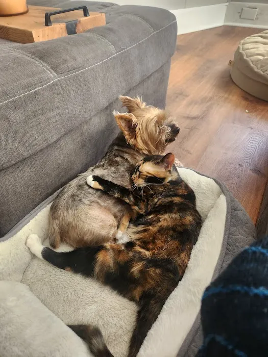 Vethouse Pet Care 12