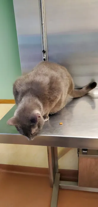 Scranton Animal Hospital 12