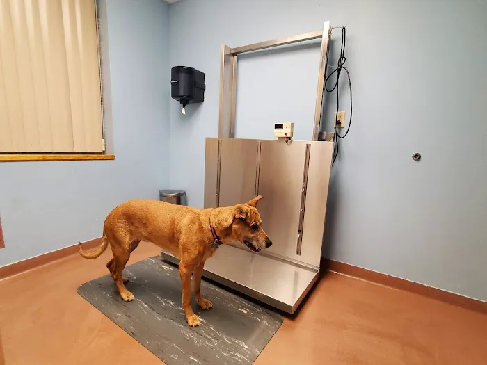 Scranton Animal Hospital 12