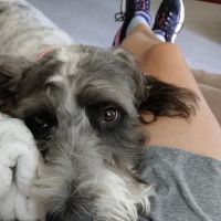 Parkway Animal Hospital ico