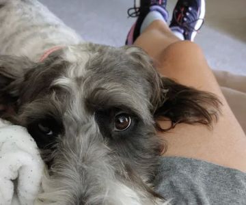 Parkway Animal Hospital