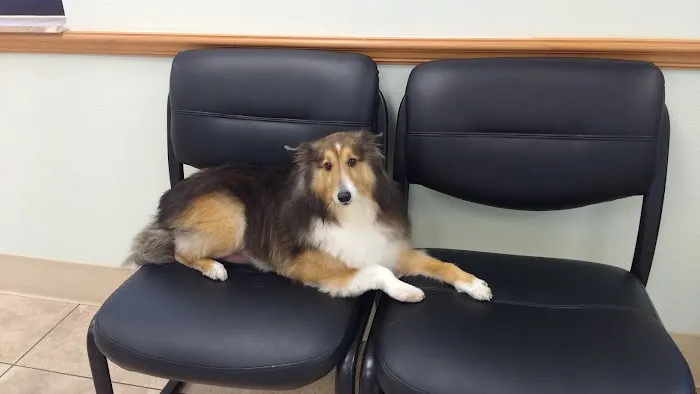 Parkway Animal Hospital 5