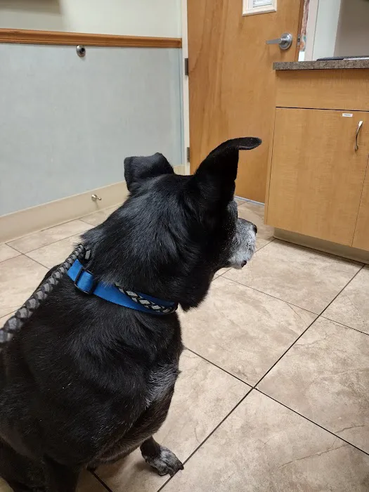 Parkway Animal Hospital 6