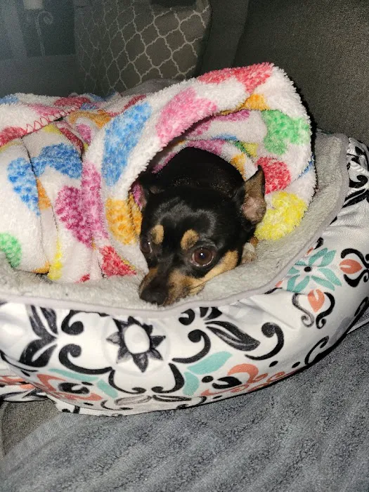 Parkway Animal Hospital 7