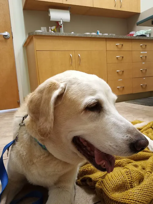 Parkway Animal Hospital 2