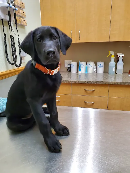 Parkway Animal Hospital 10