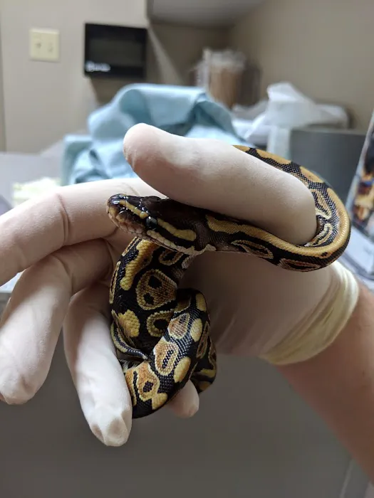 Port St. John Veterinary Hospital 7