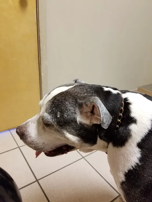 Port St. John Veterinary Hospital 3