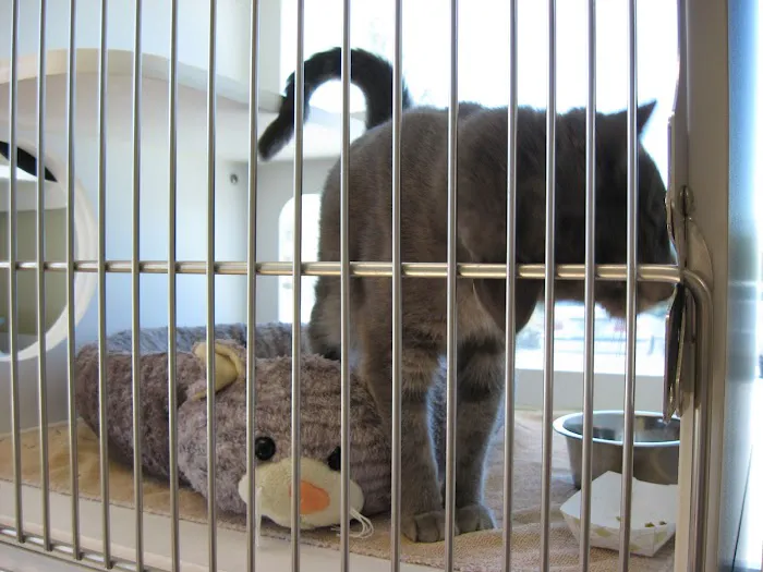 Adams Farm Animal Hospital, P.A. 1