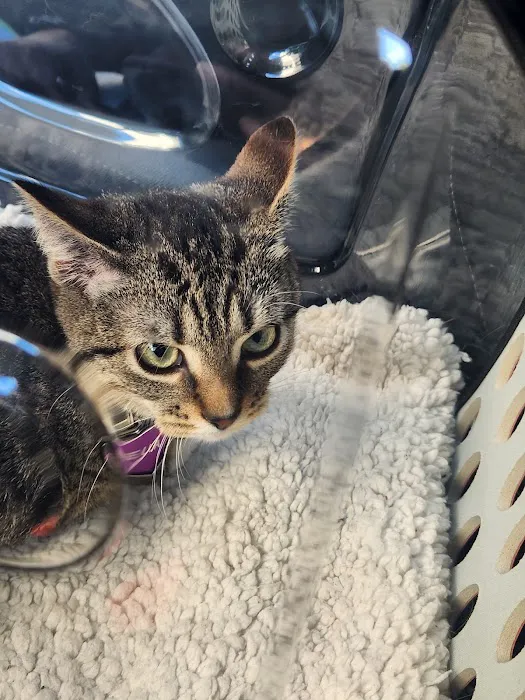 Banfield Pet Hospital 7