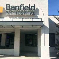 Banfield Pet Hospital ico