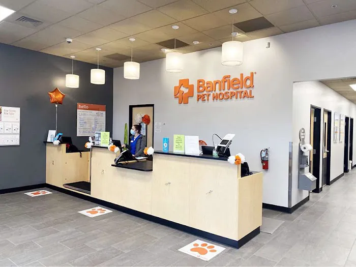 Banfield Pet Hospital 2