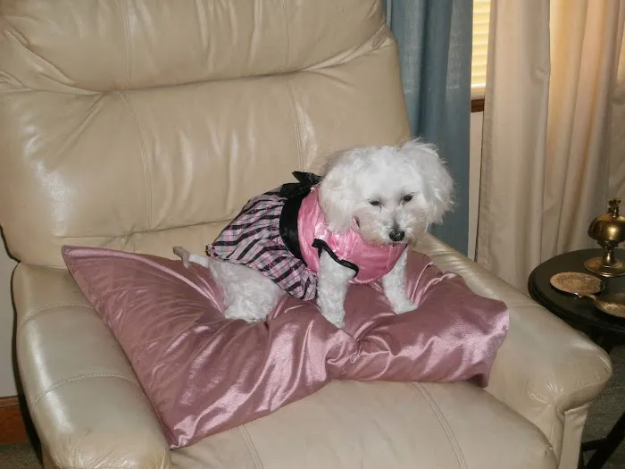 Southside Animal Hospital 1