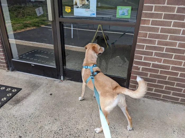 Abri Veterinary Hospital 4