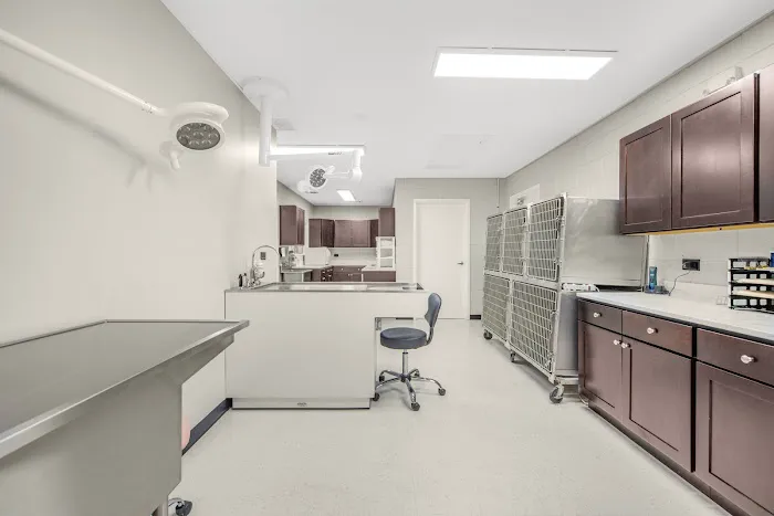 Abri Veterinary Hospital 5