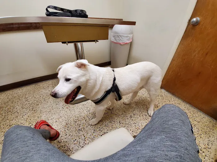 Abri Veterinary Hospital 3