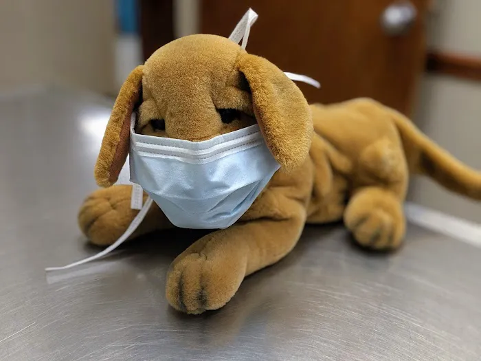 Abri Veterinary Hospital 10