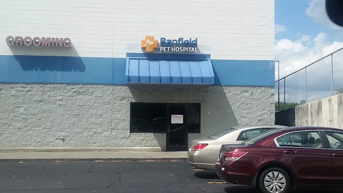 Banfield Pet Hospital 6