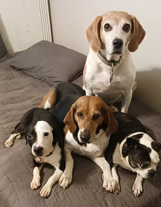 Banfield Pet Hospital 10