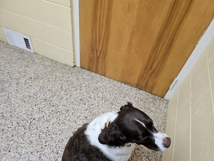 Ard-Vista Animal Hospital 6