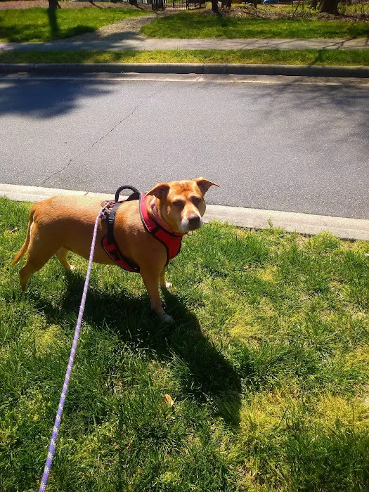 Ard-Vista Animal Hospital 5