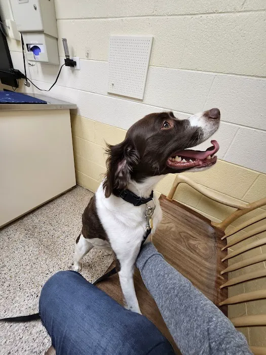 Ard-Vista Animal Hospital 8