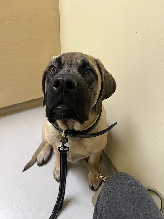 Skeet Club Veterinary Hospital 2