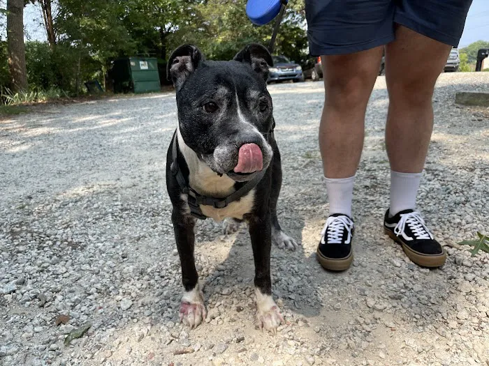 Deep River Veterinary Hospital 3