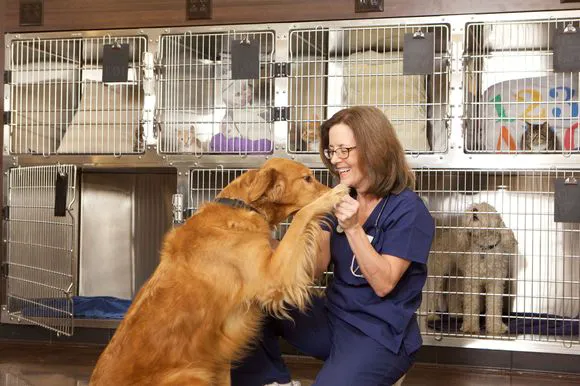 Deep River Veterinary Hospital 7