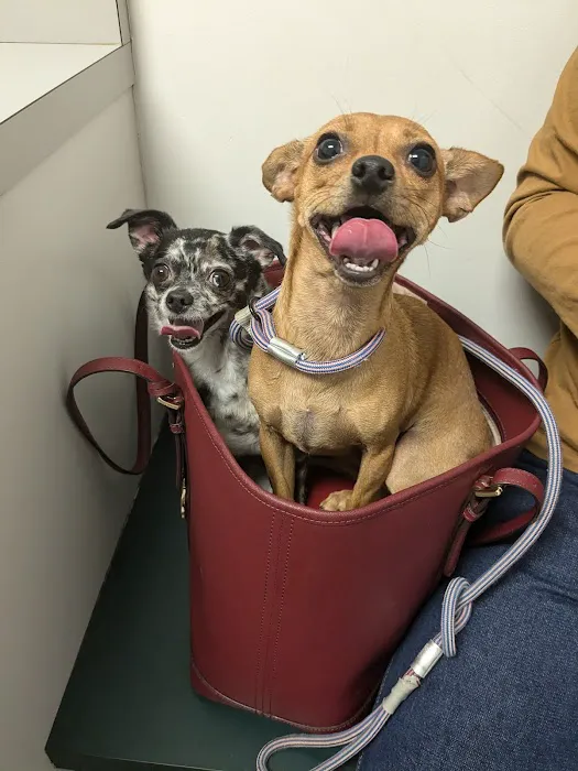 Union Cross Animal Hospital 6