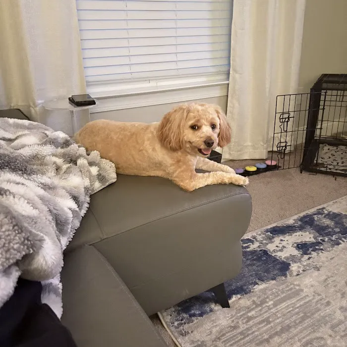 Union Cross Animal Hospital 5