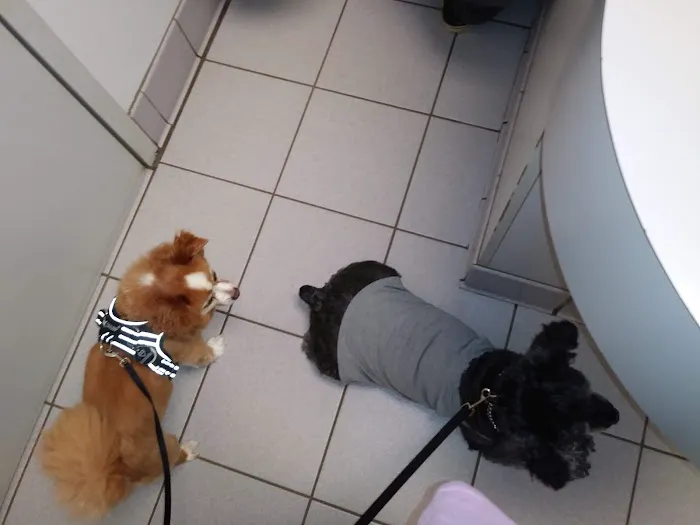 Union Cross Animal Hospital 2