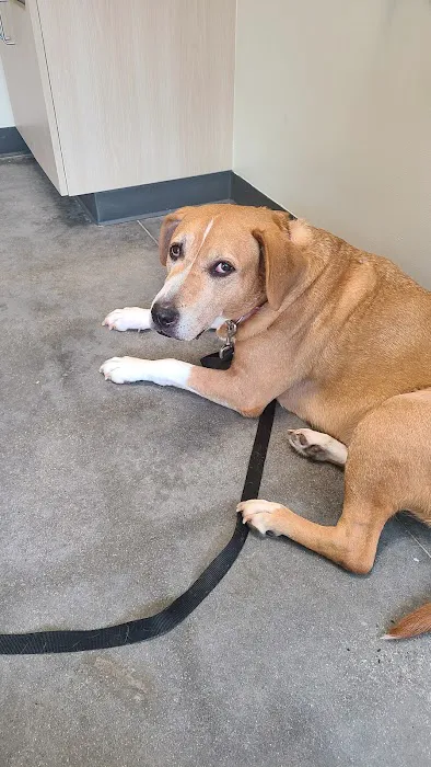 Vetco Total Care Animal Hospital 5