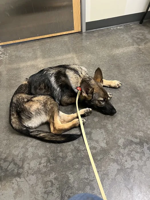 Vetco Total Care Animal Hospital 9