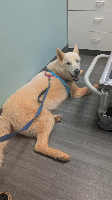 Kernersville Veterinary Hospital 8