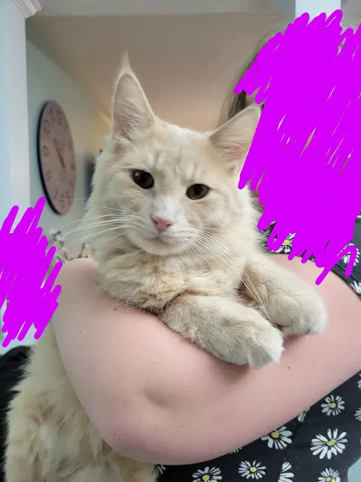 Central Spay Neuter and Wellness Clinic 2