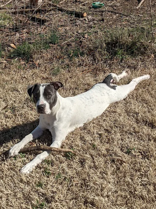 Central Spay Neuter and Wellness Clinic 9