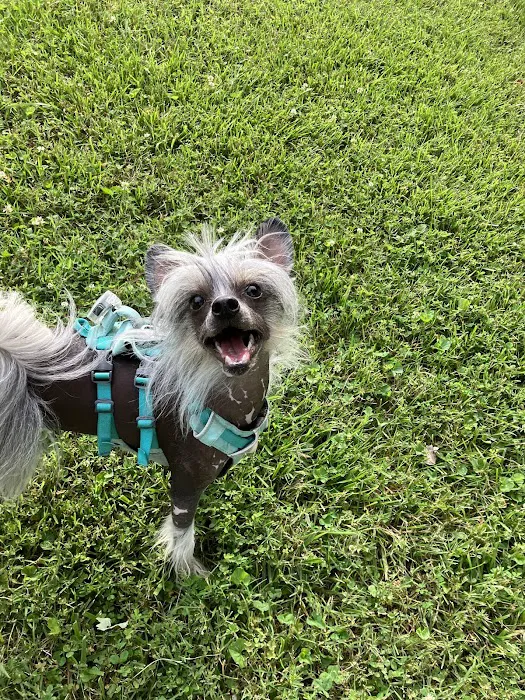 Central Spay Neuter and Wellness Clinic 5