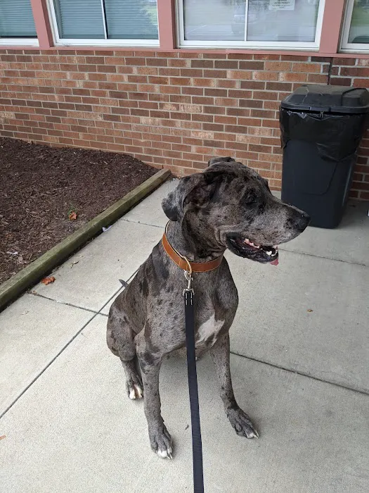 Humane Society of the Piedmont 5