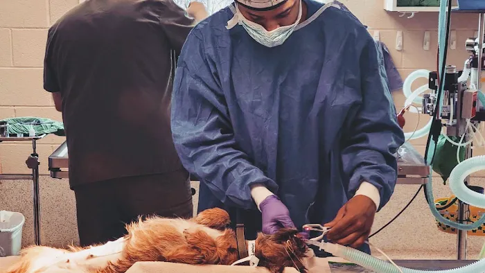 Humane Society of the Piedmont 7