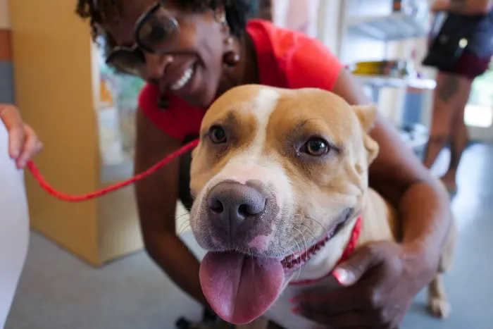 Humane Society of the Piedmont 8