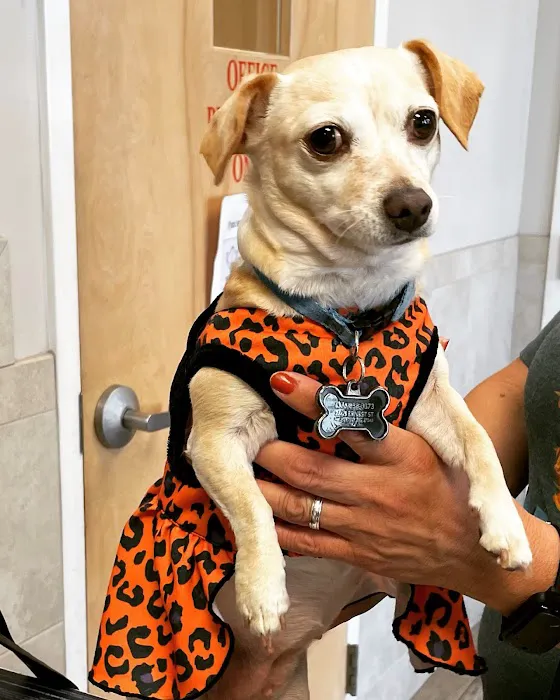 Humane Society of the Piedmont 2