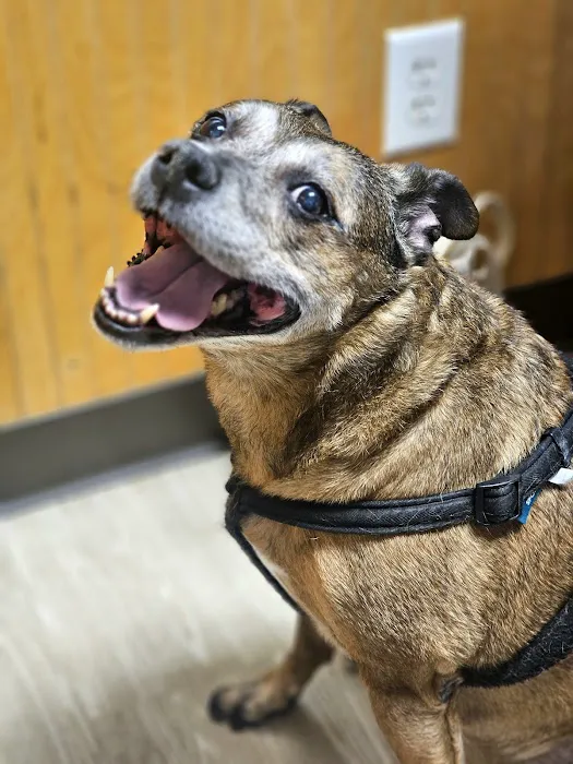 Tri County Veterinary Service 3