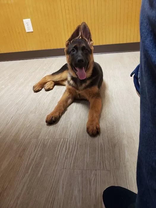 Tri County Veterinary Service 8