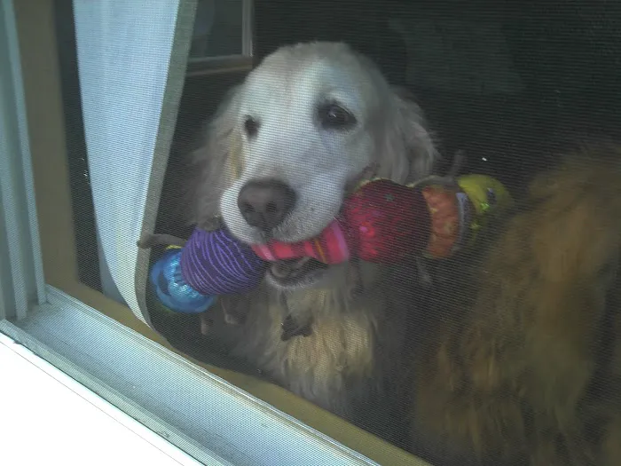 Hill Creek Veterinary Hospital 5